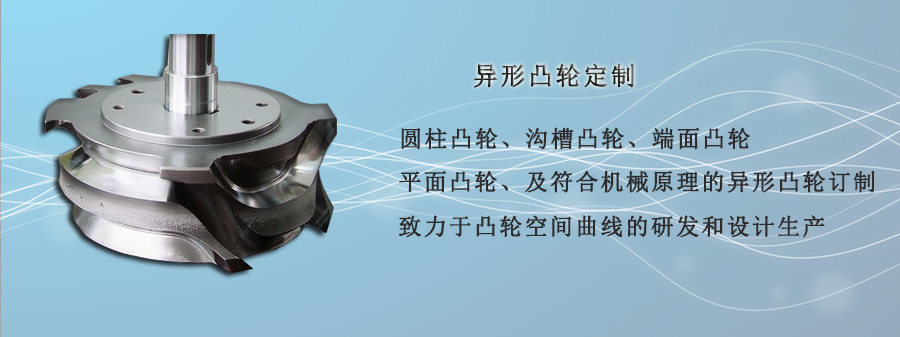 異形凸輪定制